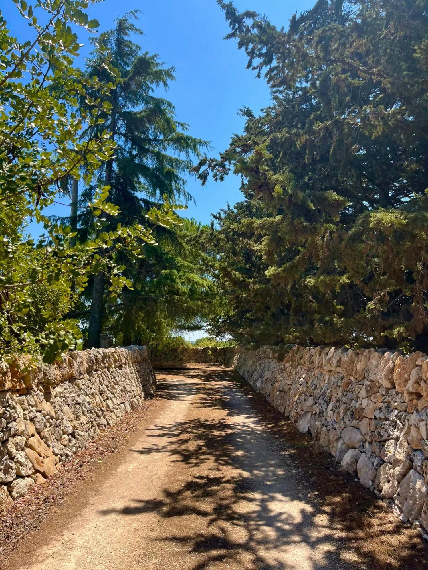 I Trulli Della Naturabio Guest House Martina Franca Exterior photo