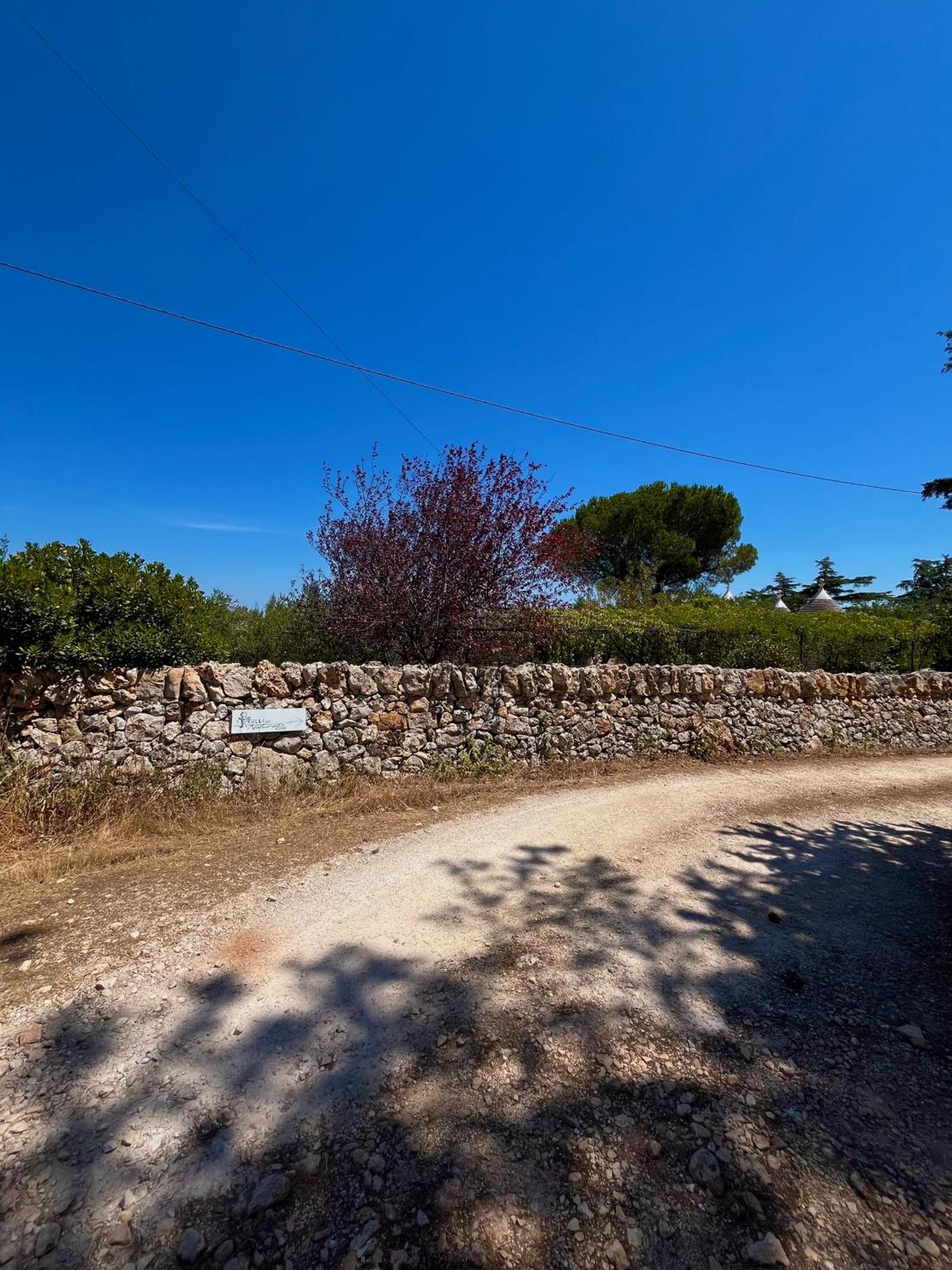 I Trulli Della Naturabio Guest House Martina Franca Exterior photo