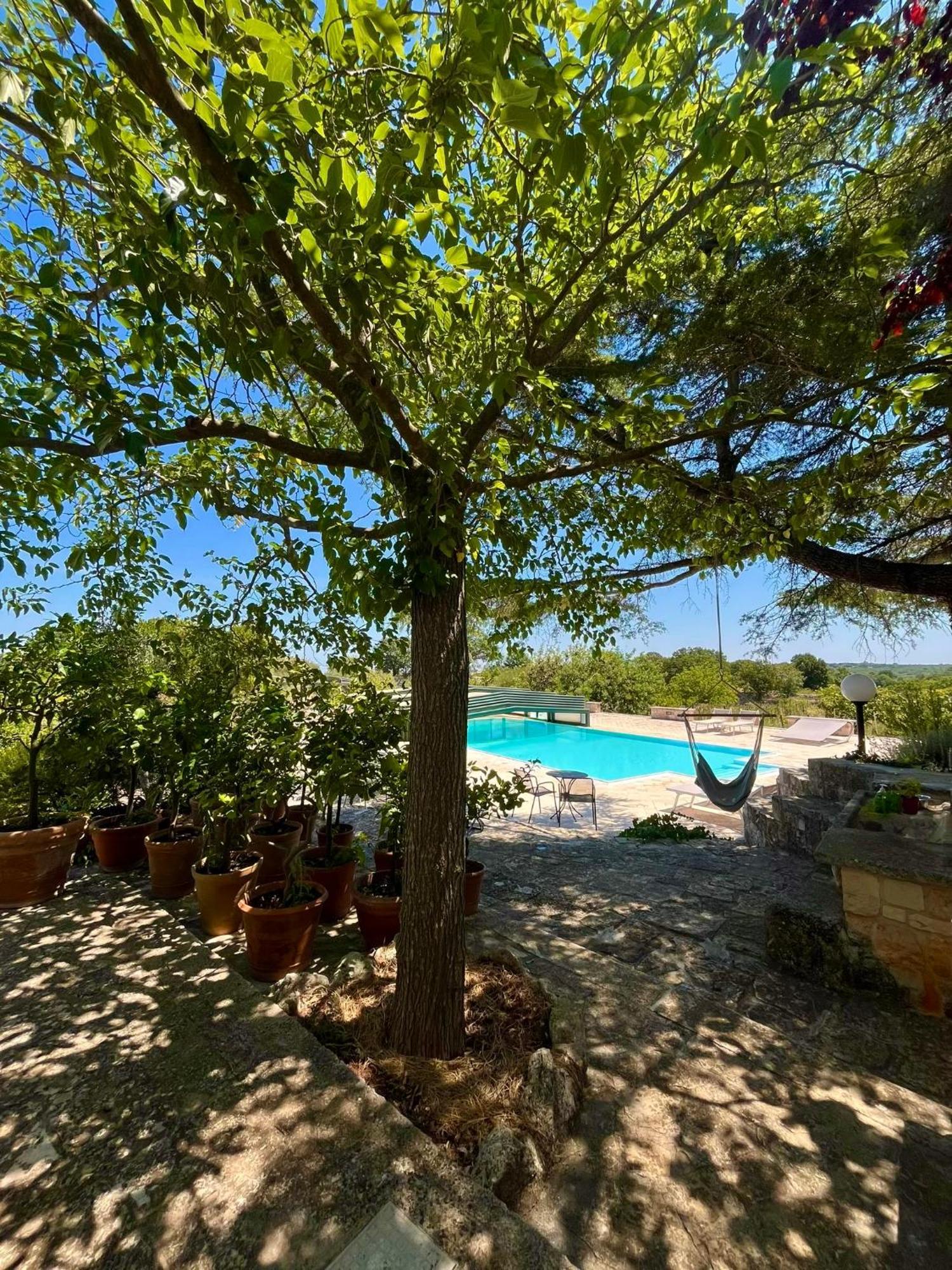 I Trulli Della Naturabio Guest House Martina Franca Exterior photo