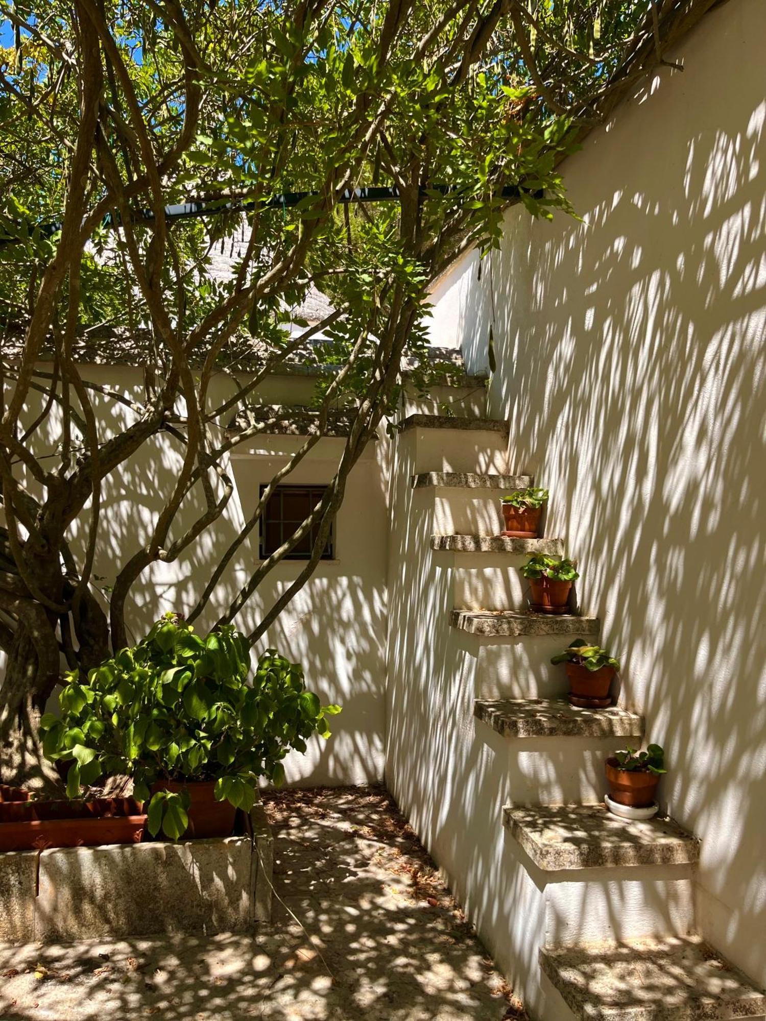 I Trulli Della Naturabio Guest House Martina Franca Exterior photo